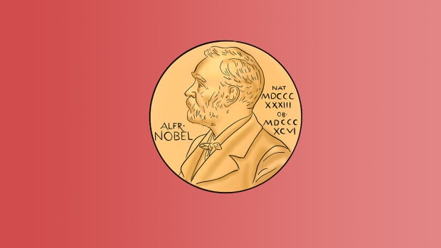 Houellebecq, Rushdie, of toch een &lsquo;jonkie&rsquo;? Wie wint de Nobelprijs voor de Literatuur?